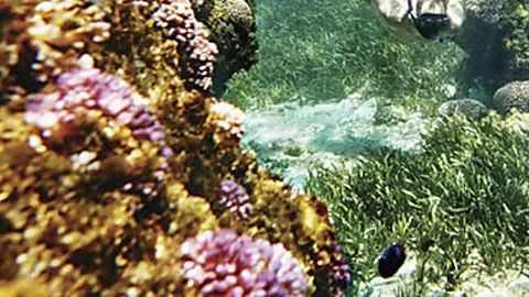 City snorkelling & hillside wineries, how Perth makes holidays easy.